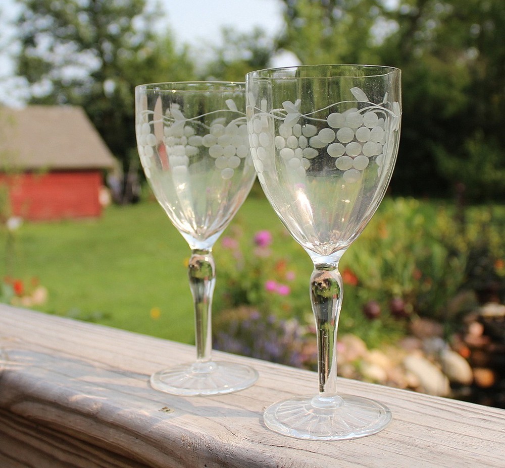 Vintage Etched Crystal Wine Glasses Grapes & Vines Panel Optic Stemware Set of 2