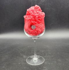 Cristallerie Zwiesel Crystal Glass Tulip Stemmed Wine Drinking Germany 8 oz