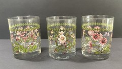 Vintage Portmeirion Botanic Garden Double Old Fashioned Glasses Set of 3