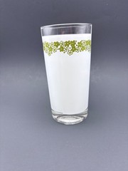 James Bradley Green Crazy Daisy Spring Blossom Tumbler Glass Match Corelle Pyrex