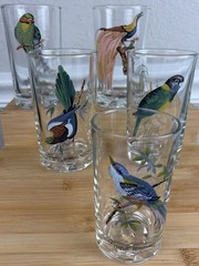 5 VTG KIG Malaysia Tropical Bird Juice Glasses Enamel Print 4.5” Tall 70’s