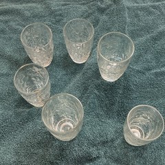 Princess House Fantasia Set of 6 Clear Floral Pattern Glass Cups Glossy