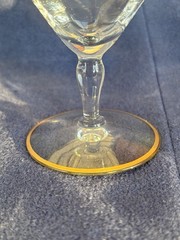 Low Sherbet Champagne Optic Gold Band with Roses Optic Bowl Gold Rim Base