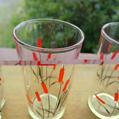 6 Hand Painted Cattail 3 3/4″ 4 oz. Water Glass Tumblers Original Vintage Lot