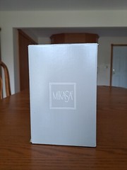 Stephanie Platinum By Mikasa T7118-0017 Crystal Champagne Stemmed Glasses 4 NIB