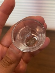 BEAUTIFUL LALIQUE Crystal «LES ENFANTS» Cherub Shot Glass SIGNED 1.75″H FRANCE