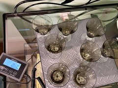 Swedish Crystal 1960s Ingrid Gulli 8 Smoky Lobed Stem Cordial Glasses, 3×4.5”