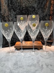 Princess House Garden Mist France 24% Lead Crystal Water Goblets Set of 6 Etched