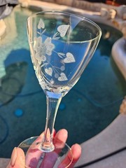 Toscany TOY26 Pattern 4 Wine Goblets Glasses Gray Cut Etched Floral 6″