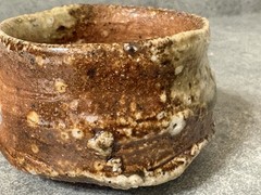 Hide Fujimoto Shigaraki Ware Guinomi Sake Cup Natural Ash Glaze Pottery Japan