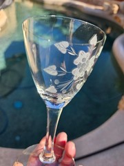 Toscany TOY26 Pattern 4 Wine Goblets Glasses Gray Cut Etched Floral 6″