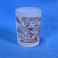 New Mexico Souvenir Frosted Shot Glass – Free Shipping