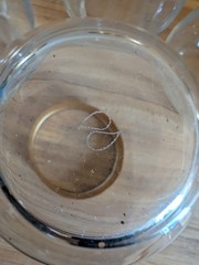 Gold Rimmed Stemless Wine Cocktail Glasses Tear Drop Set of Four