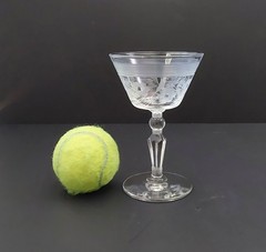 Libbey Rock Sharpe #3006-10 Champagne Sherbet (4)