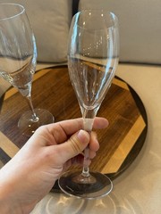 Villeroy & Boch TORINO Crystal Champagne Flutes – Set of 2 – 8.5″ Tall – Etched