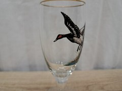 VTG 1950’s Carwin Cordial Glass Painted Wild Game «CANVAS BACK» Gold Rim