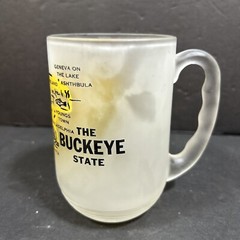 Vintage Ohio the Buckeye State frosted Glass Beer Mug 5” State Map