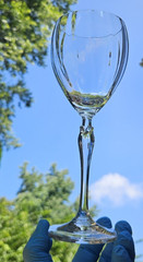 5 Vintage Mikasa Spring Petals Crystal Wine Glasses, 8-3/8″, FREE SHIPPING