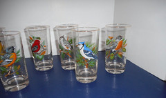 West Virginia Glass Set of 8 AMERICAN SONGBIRDS 15oz Tumblers Highballs