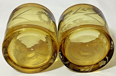 Bobby Flay Amber Floral Etched Lowball Rocks Glasses Set Of 2