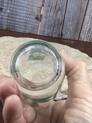 Vintage Swanky Swig Kraft Jelly Jar Juice Glass Tumbler Green Cat Kitten Bunny