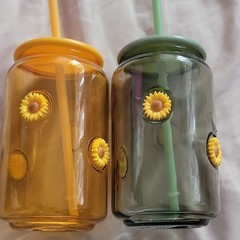 2pc Sunflower Floral Glass Tumblers w/ Lids & Straws 16.9 fl oz Orange/Green