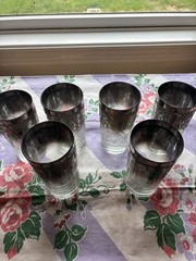 Vintage Dorothy Thorpe Silver Fade Highball Glasses —Set of 6 etched floral
