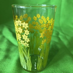 Jane Lynn Style Daffodil Garden 4.5” Retro Glasses Complete Set Of 8 VTG 70s MCM
