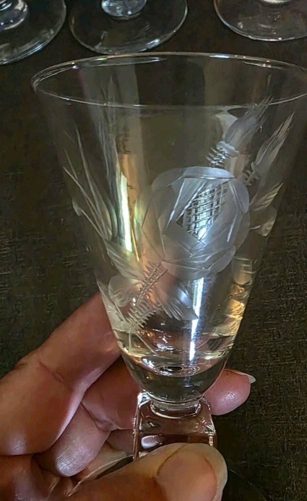 Vintage Fostoria Rose Stemware Features Gray Cut Rose Design With Leaves. set 5