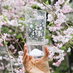 Edo Glass Tumbler | Cooling «Cherry Blossoms Dancing Around Mount Fuji» Japan