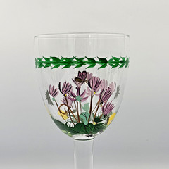 SET OF 4 PORTMEIRION BOTANIC GARDEN 18oz WATER WINE GOBLETS HAND PAINTED GLASSES