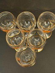 Vintage Hand-Painted Floral Cordial Glasses MCM Gold Accents