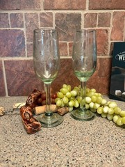 Rose Ann Hall Condessa Champagne/Wine Glasses Set of 2 Recycled Glass Vintage