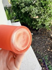 Vintage Blendo Orange Frosted Tumblers Gold Rim MCM Barware Glasses Set of 2