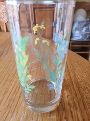 Corelle Coordinates My Garden 14 oz Glass Tumbler HTF PERFECT