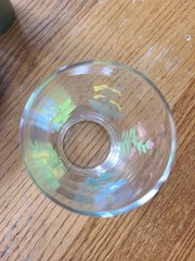 Corelle Coordinates My Garden 14 oz Glass Tumbler HTF PERFECT