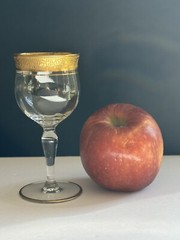 5 Ransgil Rambler Rose Optic Clear Cordial Wine Glasses 5.25″ Gold Rim