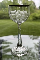 Fine Moser Morning Glory Engraved Port Wine Glass – Many Available