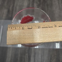 Vintage MCM Floral Juice Glass Boscul Peanut Butter Collectible Dahlia Autumn