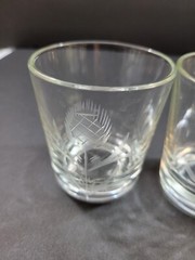 Set of 2 Vintage Scottish Thistle Etched Glass Tumbler Glasses Clear