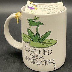 Russ Berrie Understatements 8311 Certified Sex Instructor Mug c1980s Korea 12oz