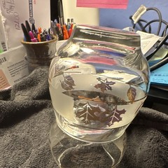 Set of 2 Clear Glass Round Tumbler Glasses with Leaf Floral Pattern, Decor