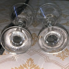 Clear Glass Martini Glasses Etched Bird Design Two-Piece Set