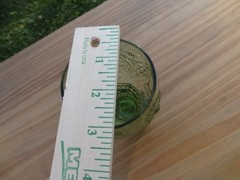ANTHROPOLOGIE Helianthus Green Glass Water Goblet Floral Flower Glassware 5” H