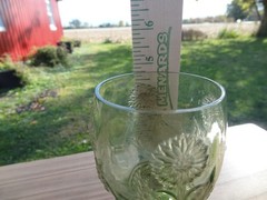 ANTHROPOLOGIE Helianthus Green Glass Water Goblet Floral Flower Glassware 5” H