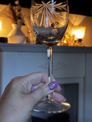 Toscany Clear Crystal Blown 7 3/4″ Wine Stem TOY8 Gray Cut Flower Leaves VGUC
