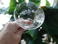 Pioneer Glass Japan Clear Gray Cut Willow Moon 2.5 oz Sherry Glass VGUC