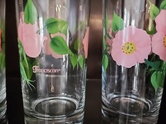 Franciscan Desert Rose 14 Oz Tumbler6 1/4″ Green Stems Set of 4 (EXCELLENT!)