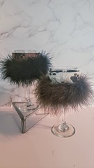 Wine Glasses With Boa Paws Wrap
