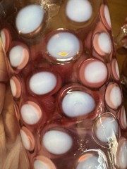 Set of 5 Cranberry Glass Pieces – Polka Dot Tumbler, Goblet, and Small Cups